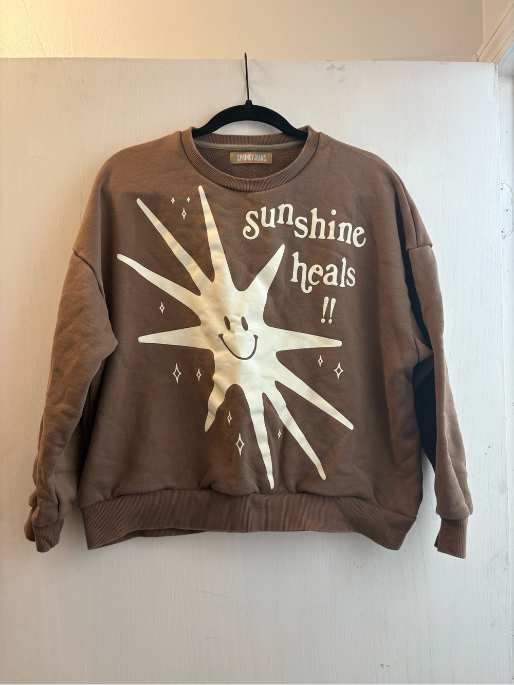 Springy Jeans Sunshine Heals Brown Graphic Crewneck Sweater